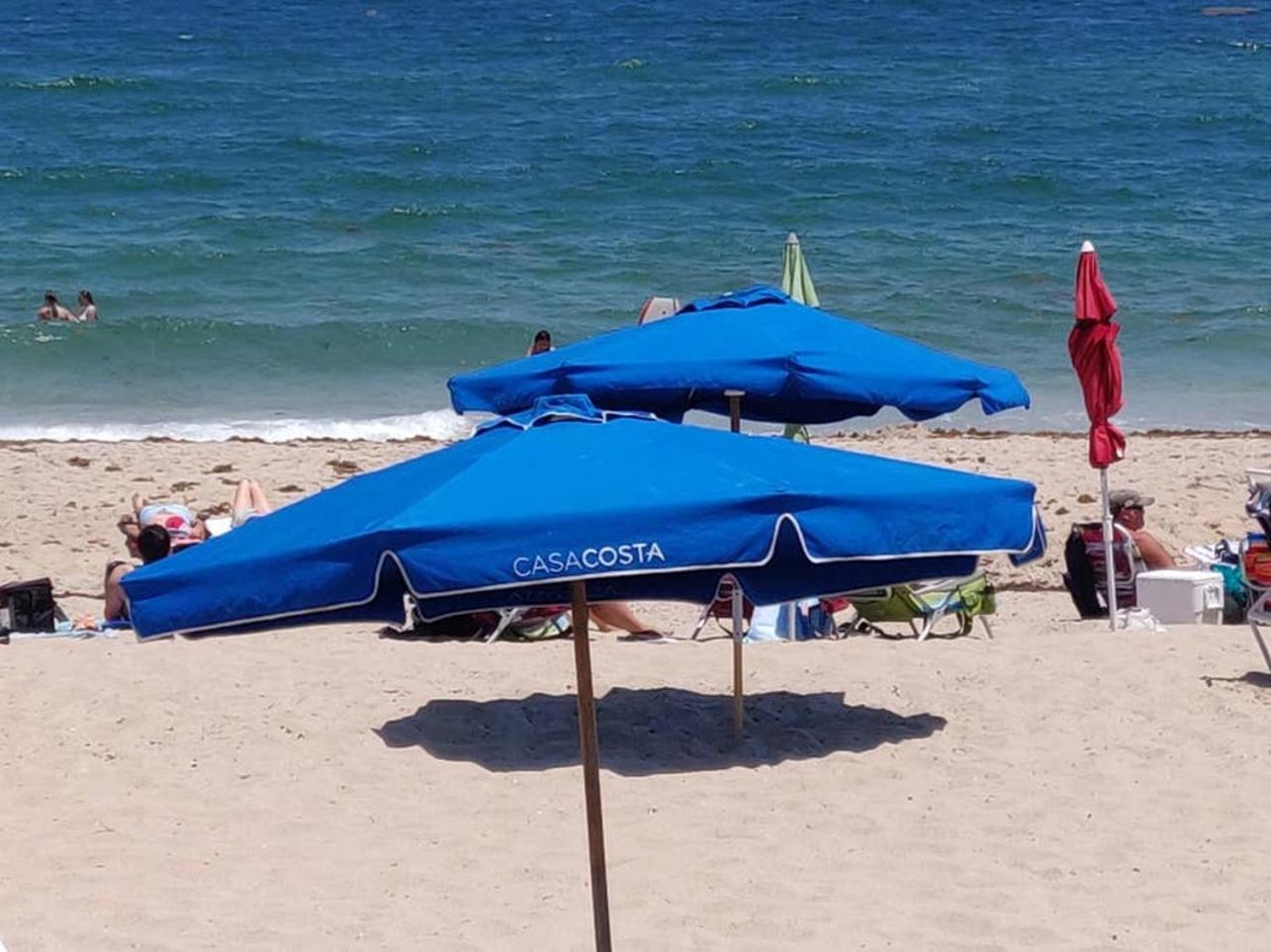 Apartment In Casa Costa Condo!Beach Pass Included Boynton Beach Buitenkant foto